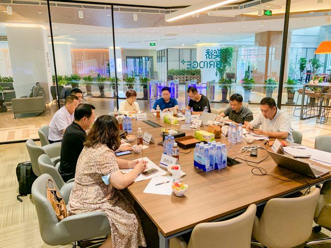 阿尔卑斯系统集成